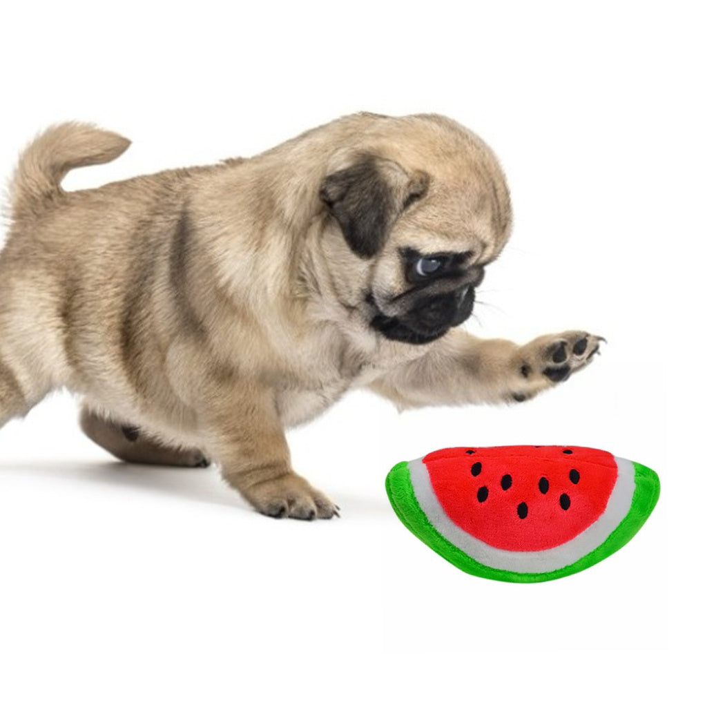 Dog Toys