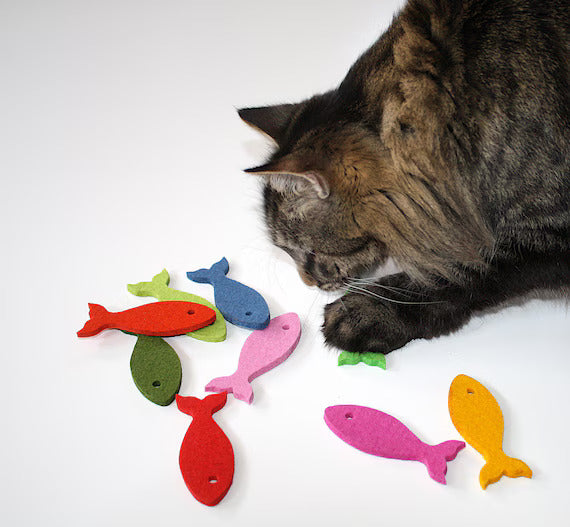 Cat Toys