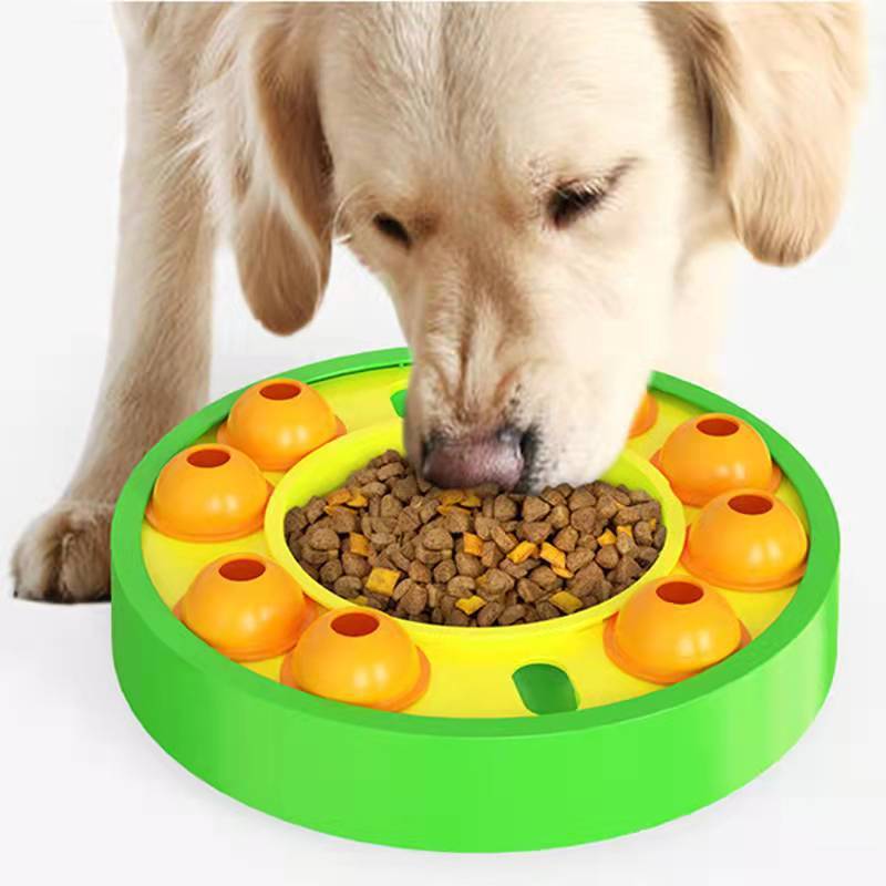 Slow Feeder for Dogs