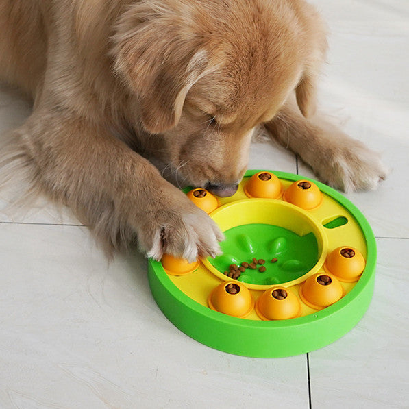 Slow Feeder for Dogs