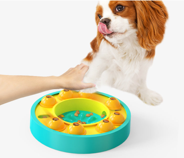 Slow Feeder for Dogs