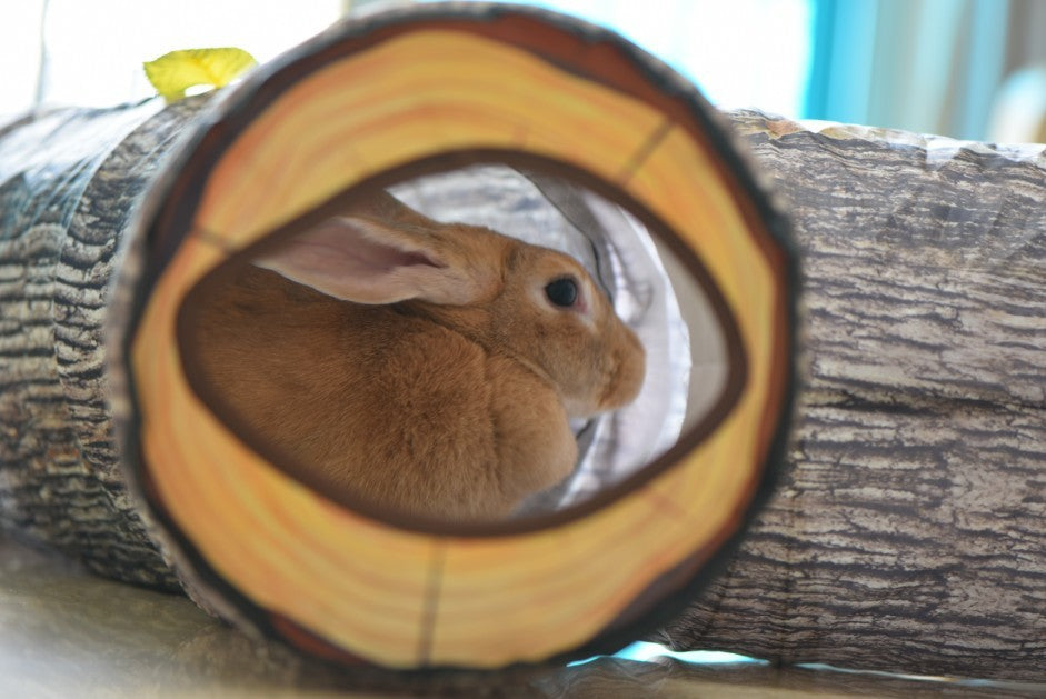 Tree Pattern Tunnel Cat Toy