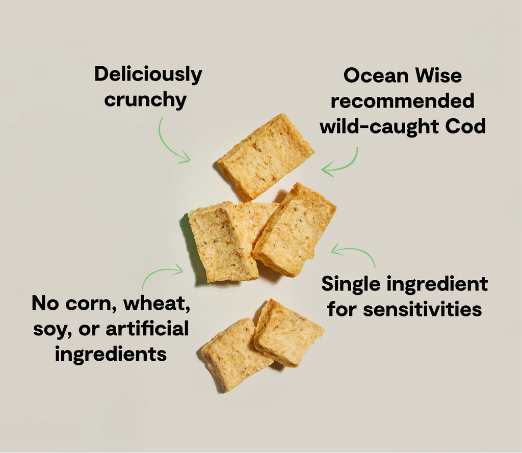 Open Farm Dehydrated Cod Skin