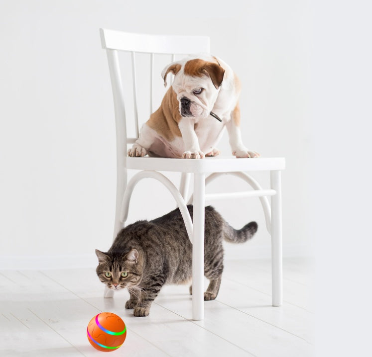 Automatic cat toy ball USB rechargeable next to a playful tabby cat and a bulldog puppy on white chair