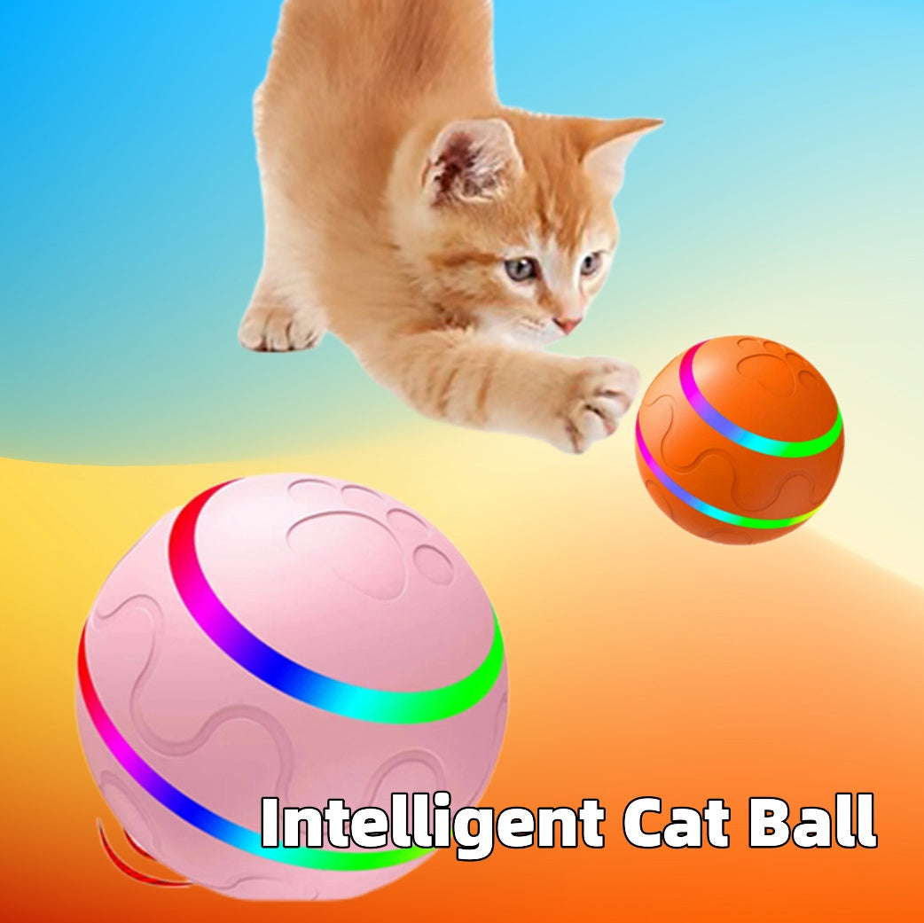Automatic cat toy ball USB rechargeable in pink and orange with colorful LED lights and a playful kitten