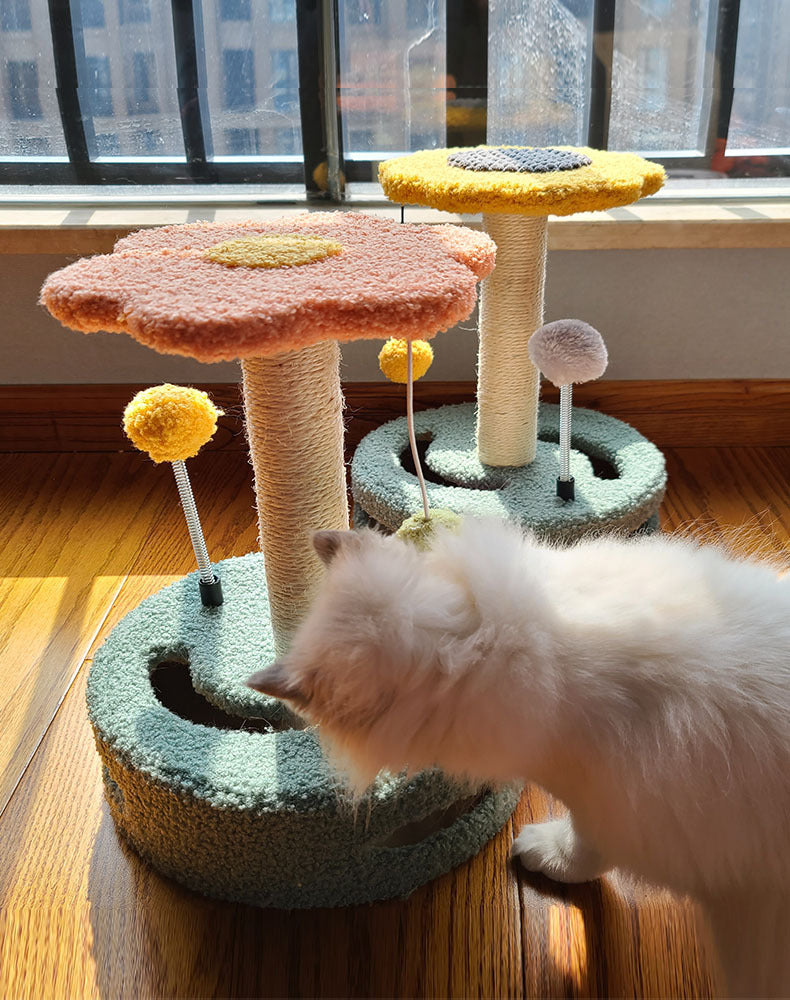 Colorful cat scratch board with flower-shaped posts and pom-pom toys on wooden floor with white cat