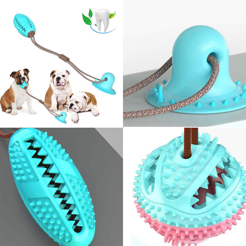 Pet Pleasers Shop interactive dog suction cup toy in blue with textured chew surfaces and rope for durability